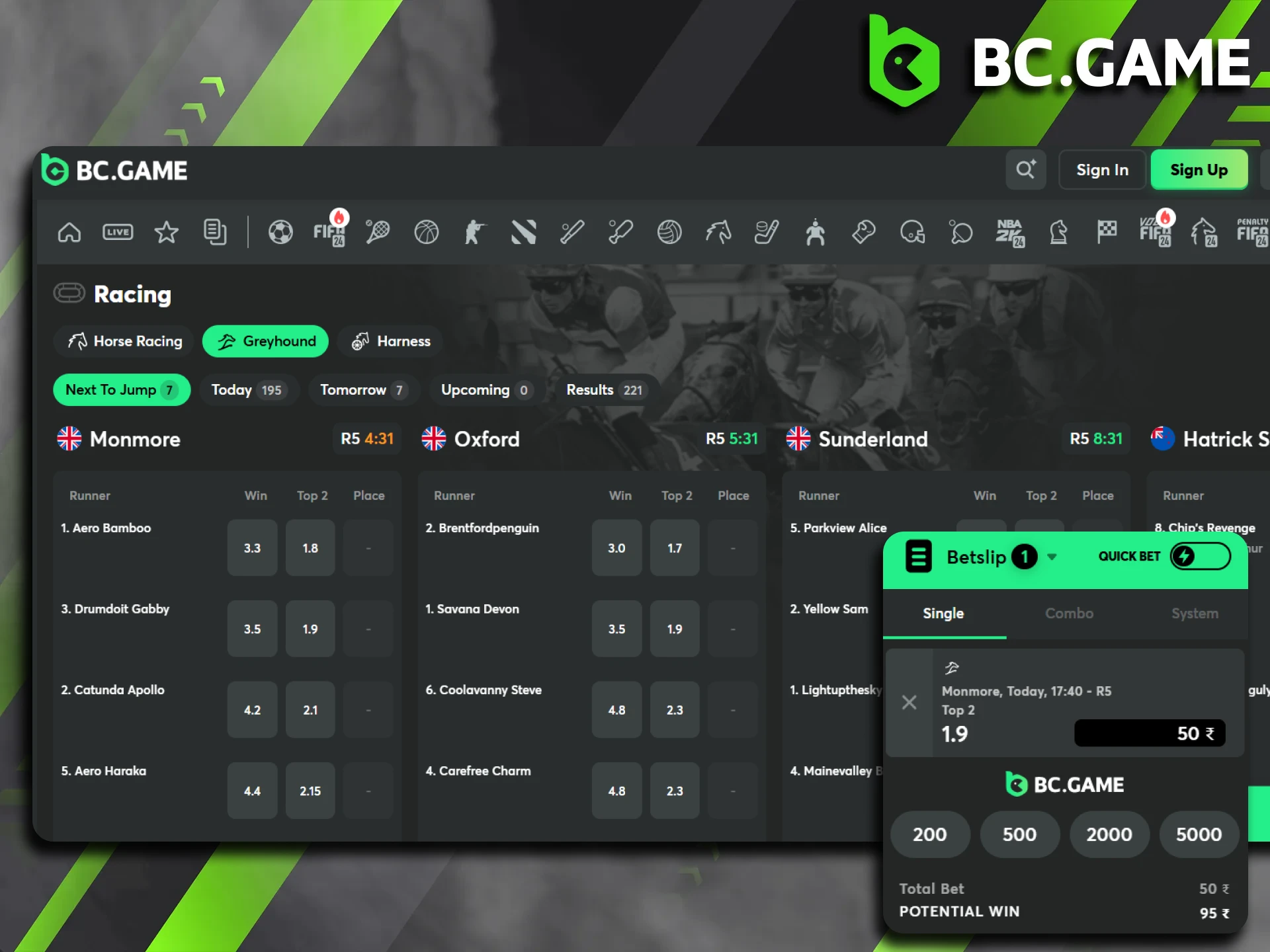 Place bets on greyhound racing on the BC Game website.